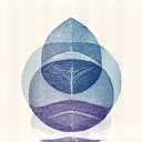 Mindful Living Collective